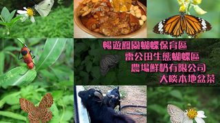 [A05] 石崗雷公田蝴蝶園、農場鮮奶、錦田粵菜宴、錦上路跳蚤市場、北區公園一天團