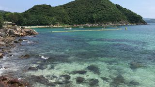 [C02]綠色旅遊、橋咀洲、菠蘿石、西貢海鮮宴、半月灣、水浪窩古觀星台一天團